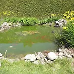 Lägenhet Mit Terrasse, Garten