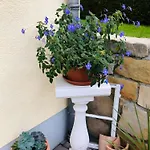 Mit Terrasse, Garten * Gotha