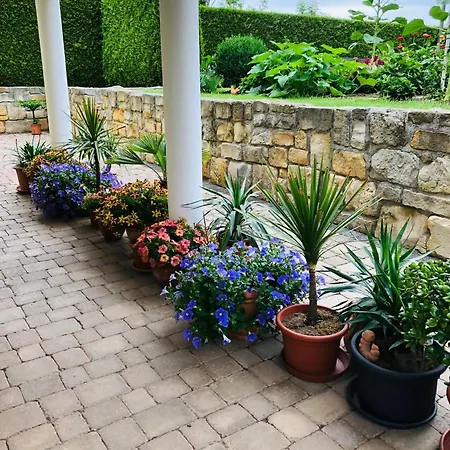Daire Mit Terrasse, Garten