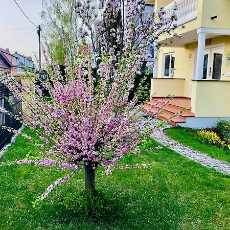 Mit Terrasse, Garten Apartman Gotha