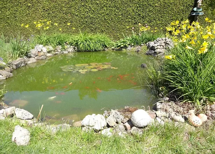 Mit Terrasse, Garten * Gotha