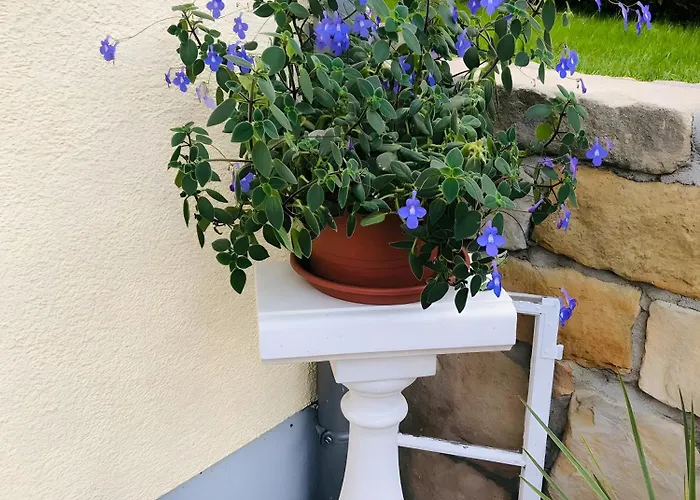 Mit Terrasse, Garten * Gotha