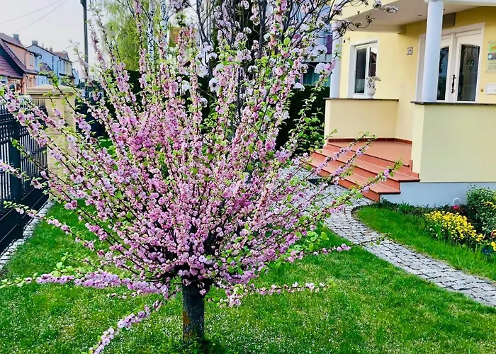 Mit Terrasse, Garten Apartment Gotha